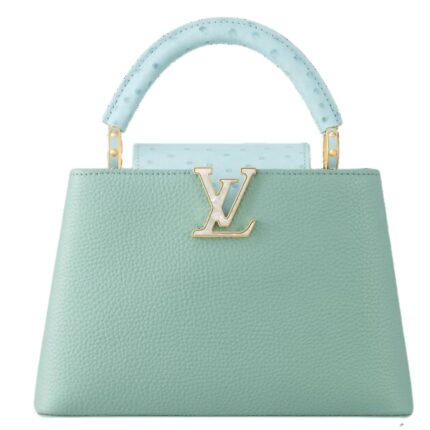 LOUIS VUITTON CAPUCINES MINI