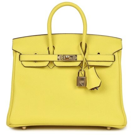 HERMÈS SPECIAL ORDER (HSS) BIRKIN 25 LIME VERSO CLEMENCE ROSE GOLD HARDWARE