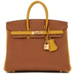 HERMÈS SPECIAL ORDER HSS BIRKIN 25 GOLD AND JAUNE AMBRE TOGO BRUSHED GOLD HARDWARE