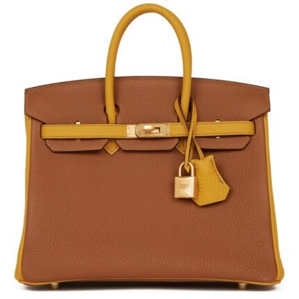 HERMÈS SPECIAL ORDER HSS BIRKIN 25 GOLD AND JAUNE AMBRE TOGO BRUSHED GOLD HARDWARE
