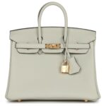 HERMÈS BIRKIN 25 GRIS NEVE TOGO GOLD HARDWARE