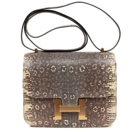 HERMÈS MINI CONSTANCE 18 OMBRE LIZARD VARANUS SALVATOR GOLD HARDWARE