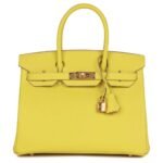 HERMÈS BIRKIN 30 LIME EPSOM GOLD HARDWARE
