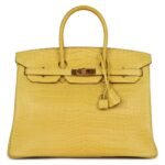 HERMÈS BIRKIN 35 MIMOSA MATTE POROSUS CROCODILE GOLD HARDWARE