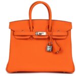 HERMÈS BIRKIN 25 ORANGE MINIUM TOGO PALLADIUM HARDWARE (Copy)
