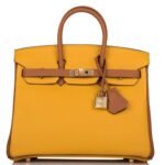 HERMÈS SPECIAL ORDER (HSS) BIRKIN 25 JAUNE AMBRE AND GOLD TOGO PERMABRASS HARDWARE