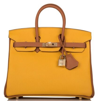 HERMÈS SPECIAL ORDER (HSS) BIRKIN 25 JAUNE AMBRE AND GOLD TOGO PERMABRASS HARDWARE