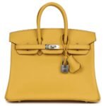 HERMÈS BIRKIN 25 SUN SWIFT PALLADIUM HARDWARE