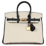 HERMÈS SPECIAL ORDER (HSS) BIRKIN 25 CRAIE AND BLACK TOGO BRUSHED GOLD HARDWARE
