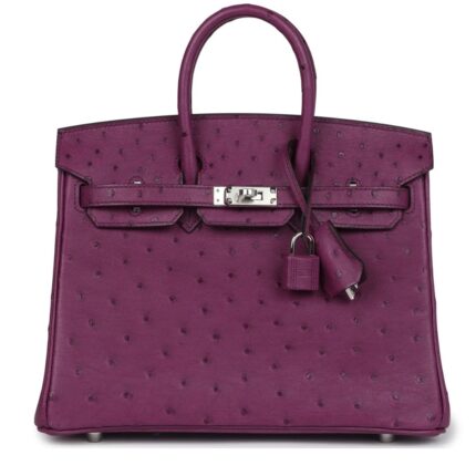 HERMÈS BIRKIN 25 ANEMONE OSTRICH PALLADIUM HARDWARE