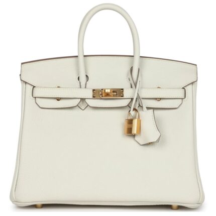 HERMÈS BIRKIN 25 MUSHROOM TOGO GOLD HARDWARE