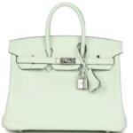 HERMÈS BIRKIN 25 VERT FIZZ SWIFT PALLADIUM HARDWARE