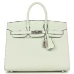 HERMÈS BIRKIN SELLIER 25 VERT FIZZ EPSOM PALLADIUM HARDWARE