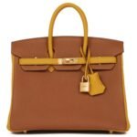 HERMÈS SPECIAL ORDER HSS BIRKIN 25 GOLD AND JAUNE AMBRE TOGO BRUSHED GOLD HARDWARE