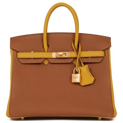 HERMÈS SPECIAL ORDER HSS BIRKIN 25 GOLD AND JAUNE AMBRE TOGO BRUSHED GOLD HARDWARE
