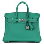 HERMÈS BIRKIN 25 VERT VERTIGO VERSO SWIFT PALLADIUM HARDWARE