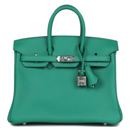 HERMÈS BIRKIN 25 VERT VERTIGO VERSO SWIFT PALLADIUM HARDWARE