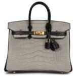 HERMÈS SPECIAL ORDER HSS BIRKIN 25 GRIS PERLE AND BLACK MATTE ALLIGATOR MISSISSIPPIENIS BRUSHED GOLD HARDWARE