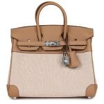 HERMÈS BIRKIN 25 TOILE H AND CHAI SWIFT PALLADIUM HARDWARE