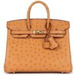HERMÈS SPECIAL ORDER HSS BIRKIN 25 GOLD VERSO OSTRICH GOLD HARDWARE