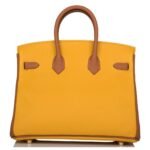 HERMÈS SPECIAL ORDER (HSS) BIRKIN 25 JAUNE AMBRE AND GOLD TOGO PERMABRASS HARDWARE
