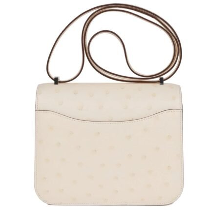 HERMÈS CONSTANCE 18 NATA OSTRICH PALLADIUM HARDWARE