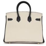 HERMÈS SPECIAL ORDER (HSS) BIRKIN 25 CRAIE AND BLACK TOGO BRUSHED GOLD HARDWARE