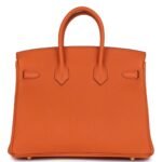 HERMÈS BIRKIN 25 ORANGE TOGO GOLD HARDWARE