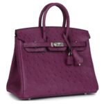 HERMÈS BIRKIN 25 ANEMONE OSTRICH PALLADIUM HARDWARE