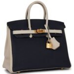 HERMÈS SPECIAL ORDER (HSS) BIRKIN 25 BLEU NUIT AND CRAIE TOGO GOLD HARDWARE