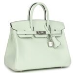 HERMÈS BIRKIN 25 VERT FIZZ SWIFT PALLADIUM HARDWARE