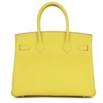 HERMÈS BIRKIN 30 LIME EPSOM GOLD HARDWARE