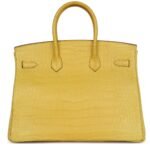 HERMÈS BIRKIN 35 MIMOSA MATTE POROSUS CROCODILE GOLD HARDWARE