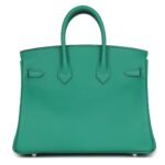 HERMÈS BIRKIN 25 VERT VERTIGO VERSO SWIFT PALLADIUM HARDWARE
