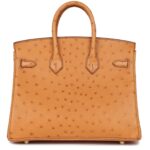 HERMÈS SPECIAL ORDER HSS BIRKIN 25 GOLD VERSO OSTRICH GOLD HARDWARE