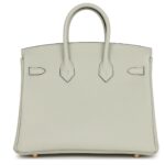 HERMÈS BIRKIN 25 GRIS NEVE TOGO GOLD HARDWARE