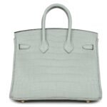 HERMÈS BIRKIN 25 GRIS NEVE MATTE ALLIGATOR GOLD HARDWARE