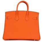 HERMÈS BIRKIN 25 ORANGE MINIUM TOGO PALLADIUM HARDWARE (Copy)