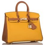 HERMÈS SPECIAL ORDER (HSS) BIRKIN 25 JAUNE AMBRE AND GOLD TOGO PERMABRASS HARDWARE