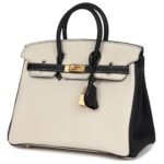 HERMÈS SPECIAL ORDER (HSS) BIRKIN 25 CRAIE AND BLACK TOGO BRUSHED GOLD HARDWARE