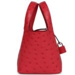 HERMÈS MICRO PICOTIN LOCK 14 BOUGAINVILLEA OSTRICH PALLADIUM HARDWARE