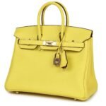 HERMÈS SPECIAL ORDER (HSS) BIRKIN 25 LIME VERSO CLEMENCE ROSE GOLD HARDWARE