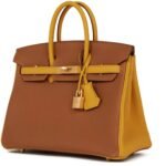 HERMÈS SPECIAL ORDER HSS BIRKIN 25 GOLD AND JAUNE AMBRE TOGO BRUSHED GOLD HARDWARE