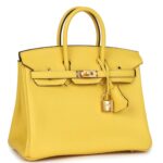 HERMÈS BIRKIN 25 JAUNE DE NAPLES TOGO GOLD HARDWARE