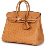 HERMÈS SPECIAL ORDER HSS BIRKIN 25 GOLD VERSO OSTRICH GOLD HARDWARE