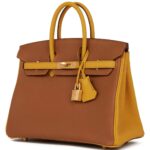 HERMÈS SPECIAL ORDER HSS BIRKIN 25 GOLD AND JAUNE AMBRE TOGO BRUSHED GOLD HARDWARE