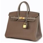 HERMÈS SPECIAL ORDER HSS BIRKIN 25 ETOUPE AND ETAIN TOGO BRUSHED GOLD HARDWARE