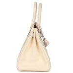 HERMÈS BIRKIN 30 NATA CLEMENCE PALLADIUM HARDWARE