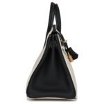 HERMÈS SPECIAL ORDER (HSS) BIRKIN 25 CRAIE AND BLACK TOGO BRUSHED GOLD HARDWARE