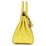 HERMÈS SPECIAL ORDER (HSS) BIRKIN 25 LIME VERSO CLEMENCE ROSE GOLD HARDWARE